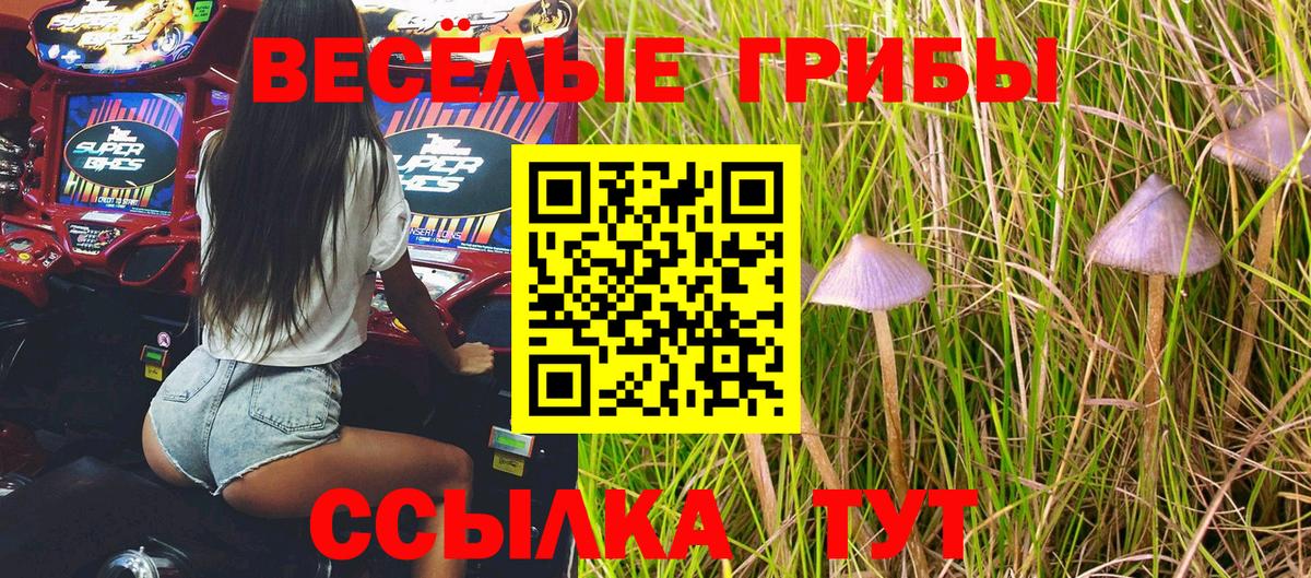 Галлюциногенные грибы прущие грибы Тимашёвск