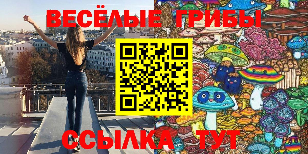 Тимашёвск  Галлюциногенные грибы прущие грибы  Вход с VPN 